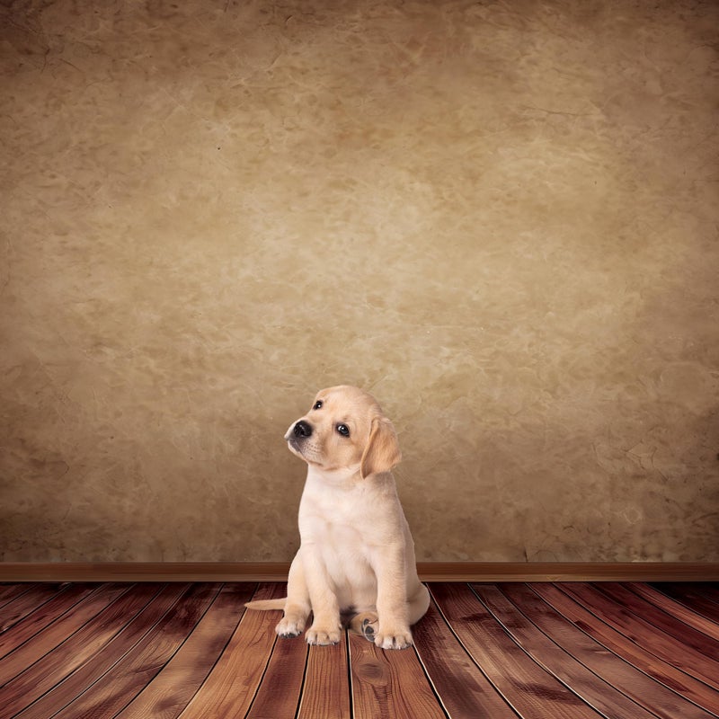 Riyidecor Brown Backdrop Rustic Wall Wooden Floor 5Wx7H Feet Soft Fabric Polyester Newborn Abstract Portrait Baby Photography Background Decorations Birthday Headshot Photo Backdrop for Photoshoot - Image 2